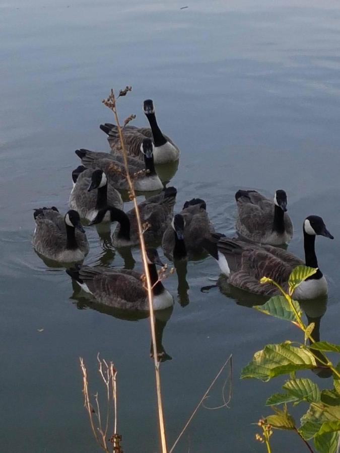 Elton Barn Fishery & Retreat Nottingham Luaran gambar