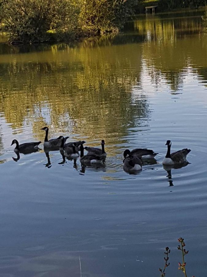 Elton Barn Fishery & Retreat Nottingham Luaran gambar